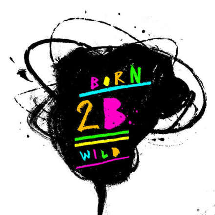Work Born 2b wild racoon schorli Artwork drawing art illustration kornel ink gallery zeichnung kunst Kornel Illustration | Kornel Stadler