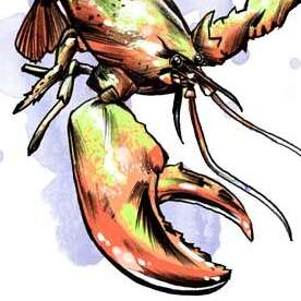 Work Kornel stadler illustration 1595 1811 829 1000 Kornel Illustration | Kornel Stadler