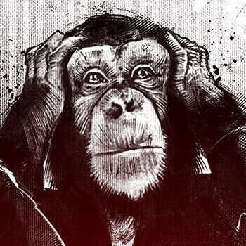 Work Monkeypox illustration editorial conceptual newspaper magazine Kornel Illustration | Kornel Stadler