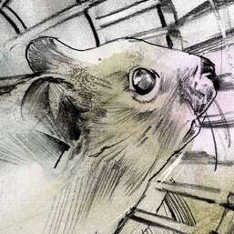 Work Hamsterrad 2752 1023 500 Kornel Illustration | Kornel Stadler