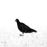 Work Flieg doch weg1 2118 707 889 Kornel Illustration | Kornel Stadler