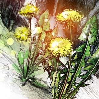 Work Steinbruch Kehrsiten 2485 1545 1100 Kornel Illustration | Kornel Stadler