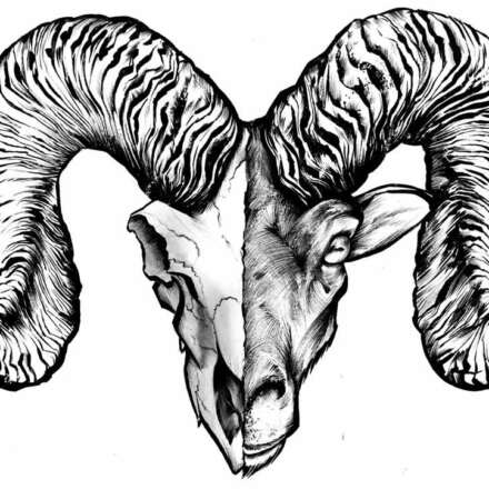 Work Kornel stadler illustration 1571 1822 973 758 Kornel Illustration | Kornel Stadler